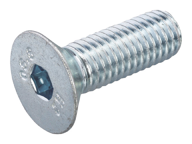 Talamex, Fladhovedbolt Indvendig Sekskant, Rustfrit Stål AISI 316 (1stk) – Størrelse: M10x60 (1), 6 Stk