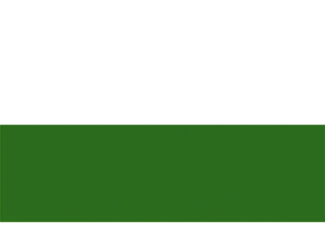 Talamex, Maritim Flag Sachsen, 20x30 cm – Størrelse: 30X45
