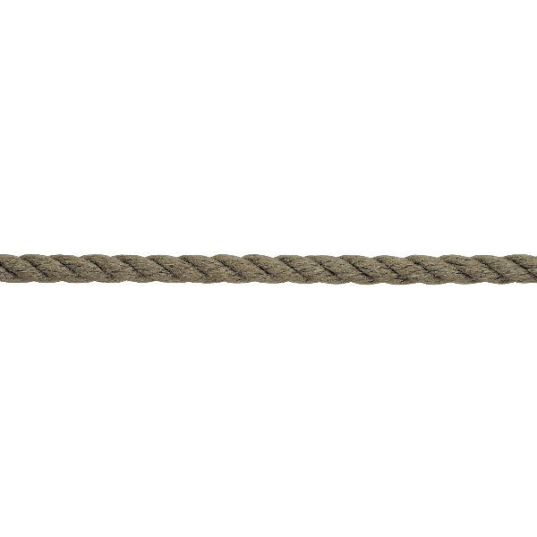 LT 01220504