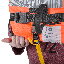 LT 20810391