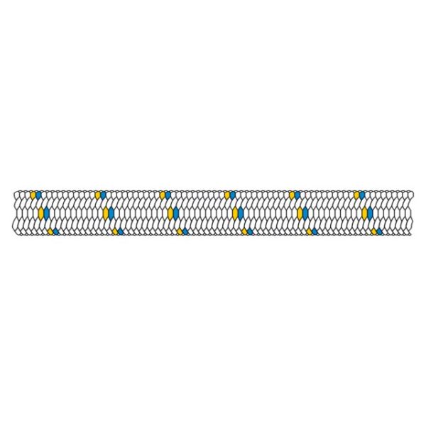 LT 68901010